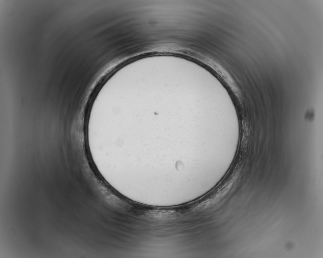 X0000102360939200808291222