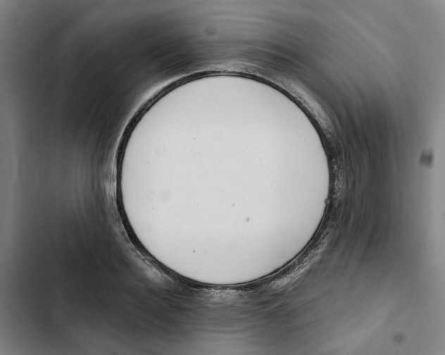 X0000102360940200808291222