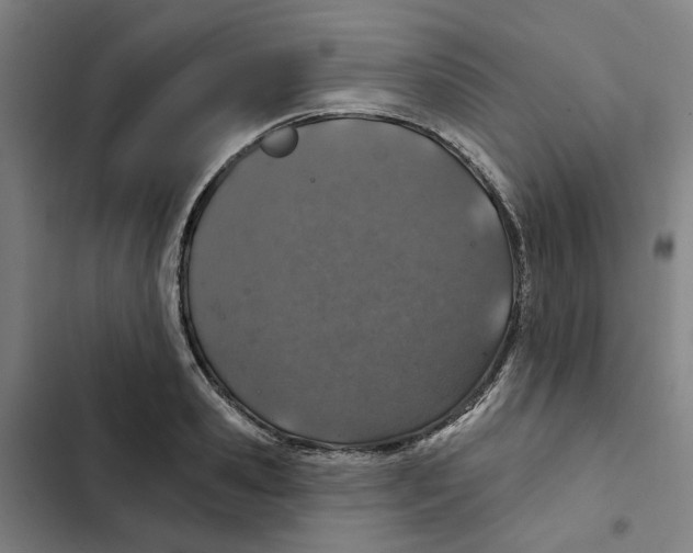 X0000102360941200808291222