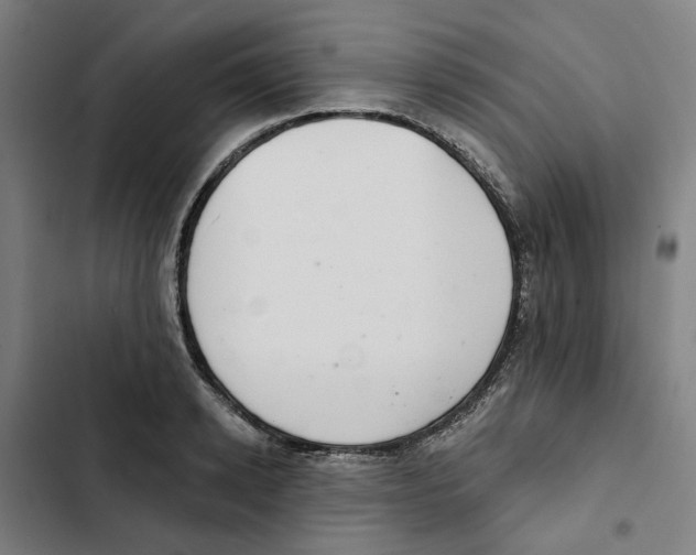 X0000102360942200808291222
