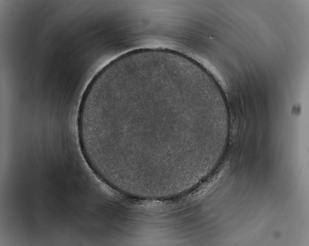 X0000102360943200808291222