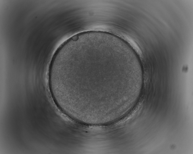 X0000102360944200808291222
