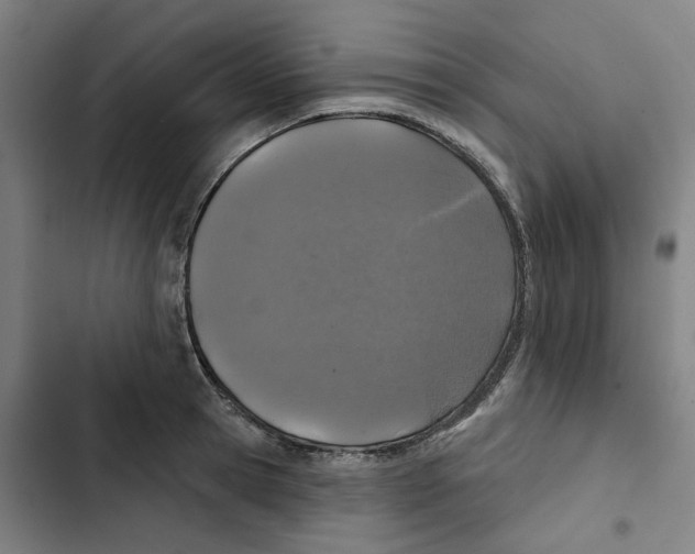 X0000102360945200808291222