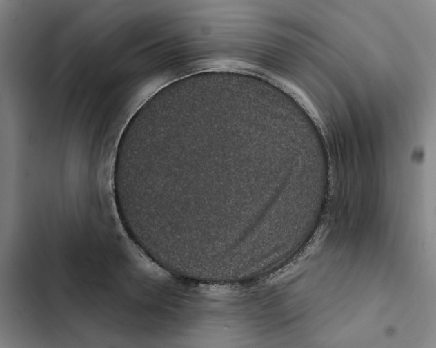 X0000102360946200808291222