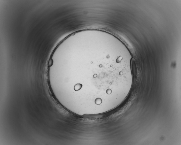 X0000102360948200808291222