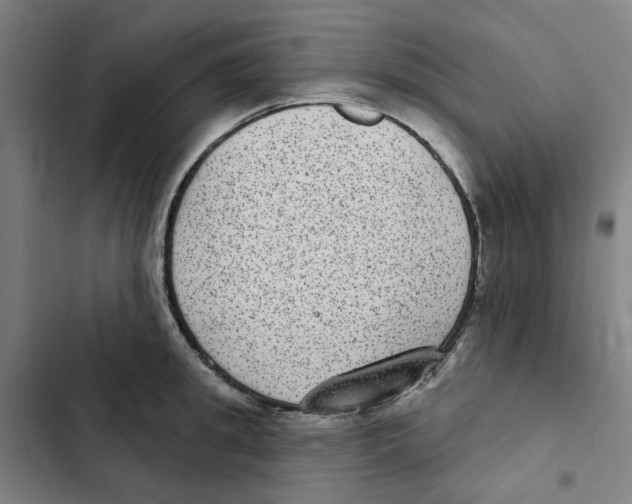 X0000102360949200808291222