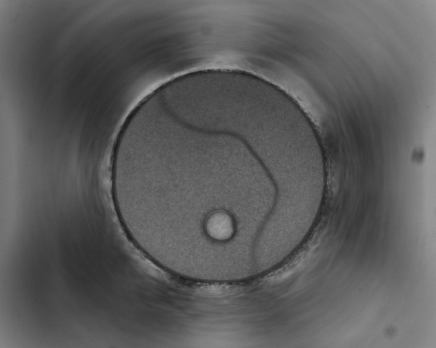 X0000102360950200808291222