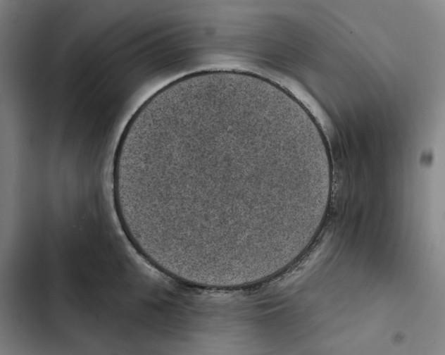 X0000102360951200808291222