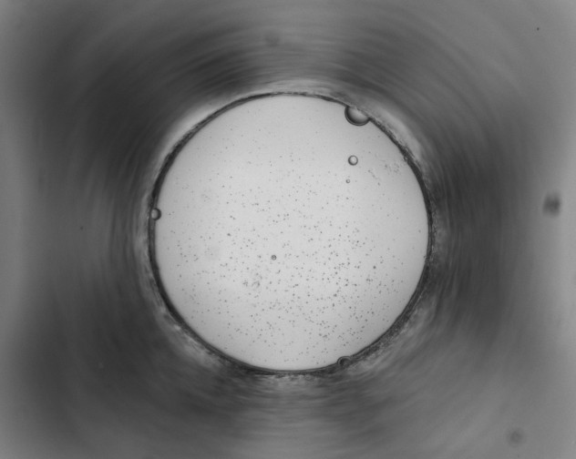 X0000102360952200808291222