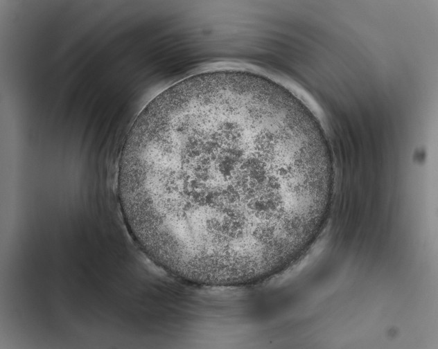 X0000102360953200808291222