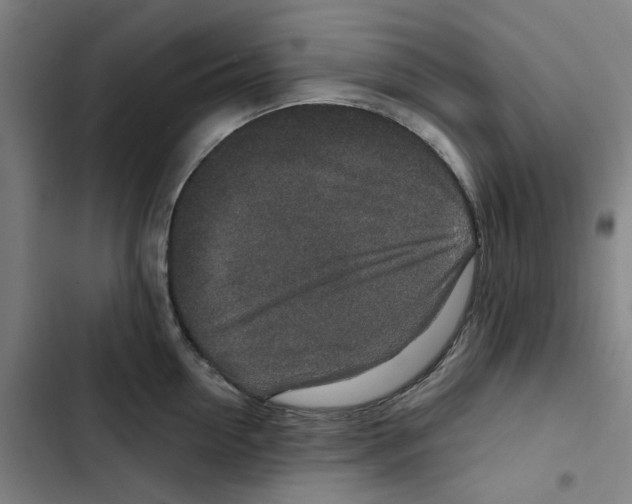 X0000102360954200808291222