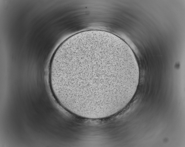 X0000102360955200808291222
