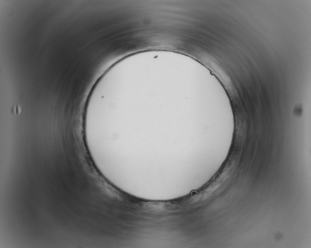 X0000102360956200808291222