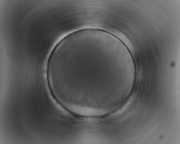 X0000102360958200808291222