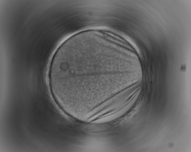 X0000102360959200808291222