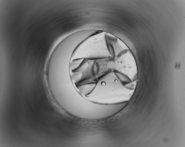 X0000102360960200808291222