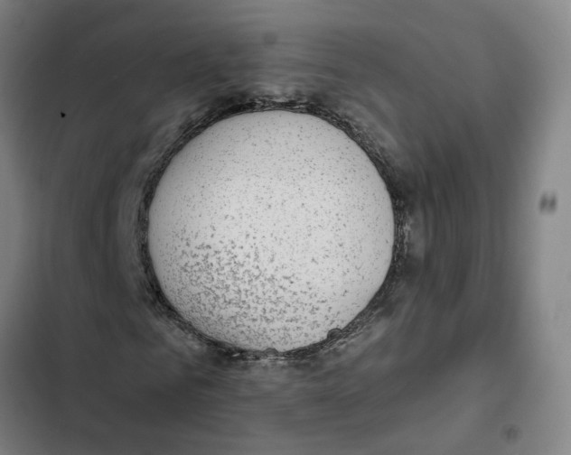 X0000102360961200808291221