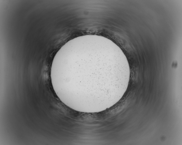 X0000102360962200808291221