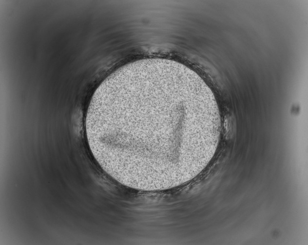 X0000102360963200808291221