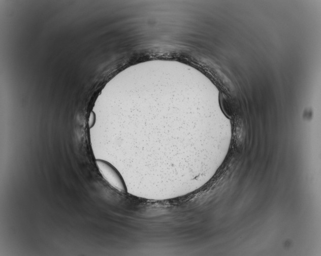X0000102360964200808291221