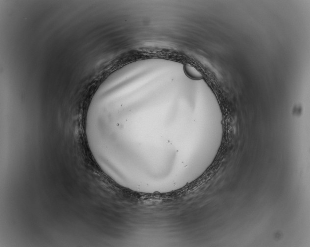 X0000102360965200808291221