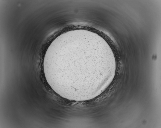 X0000102360967200808291221