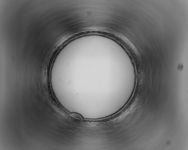 X0000102360969200808291221