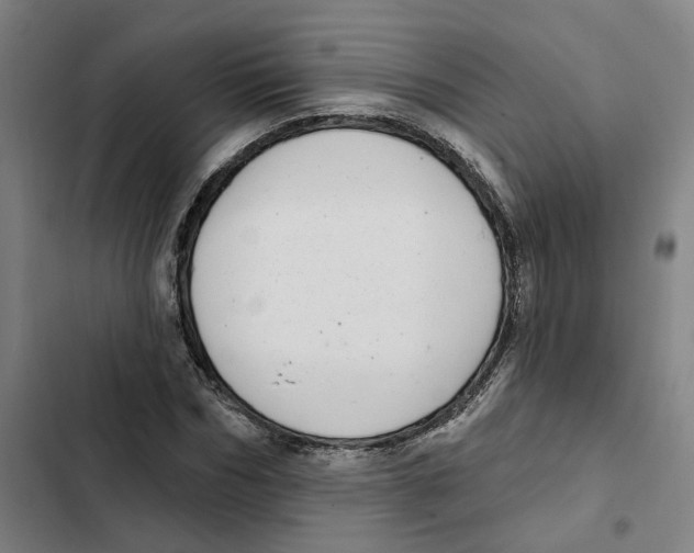 X0000102360970200808291221