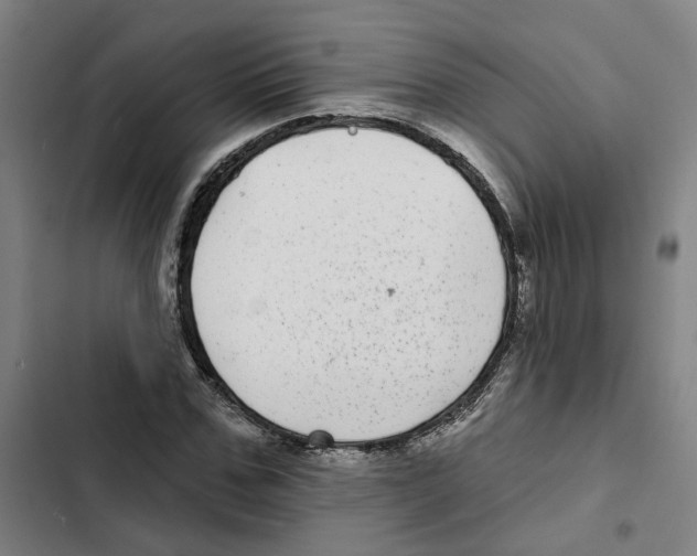 X0000102360971200808291221