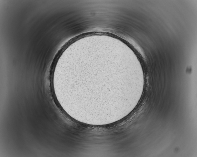 X0000102360972200808291221