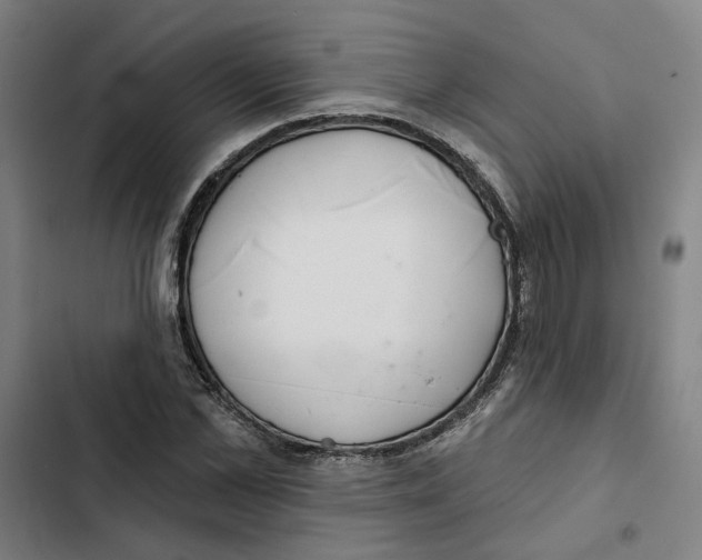 X0000102360973200808291221