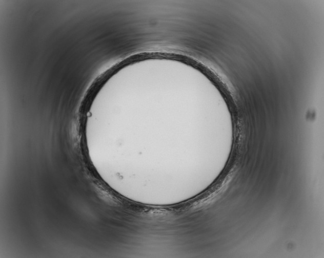 X0000102360974200808291221