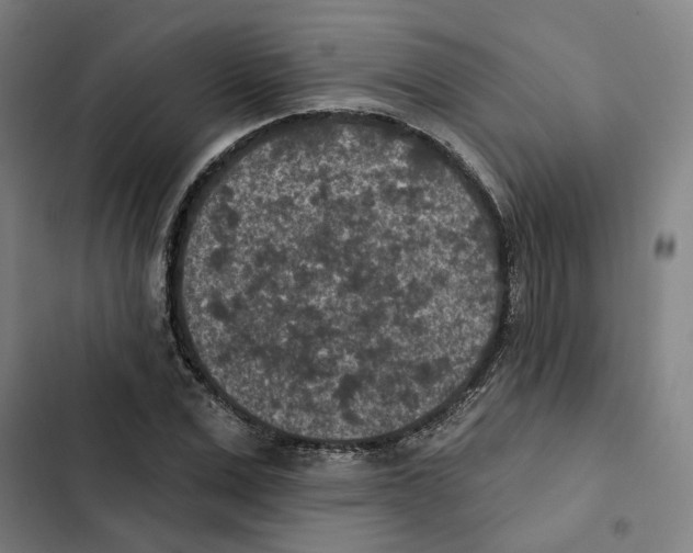 X0000102360975200808291221