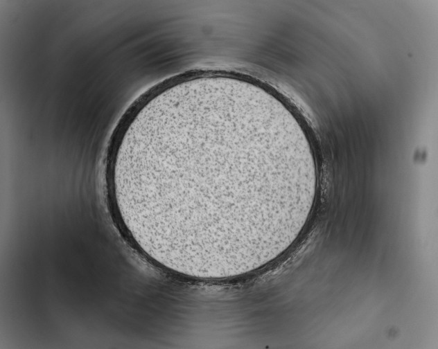 X0000102360976200808291221