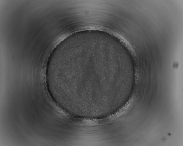 X0000102360977200808291221