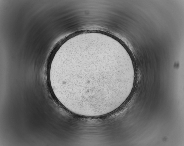 X0000102360979200808291221