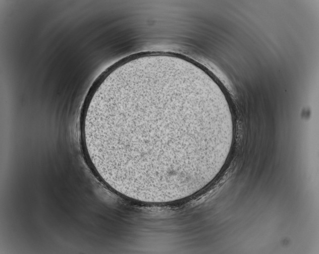 X0000102360980200808291221