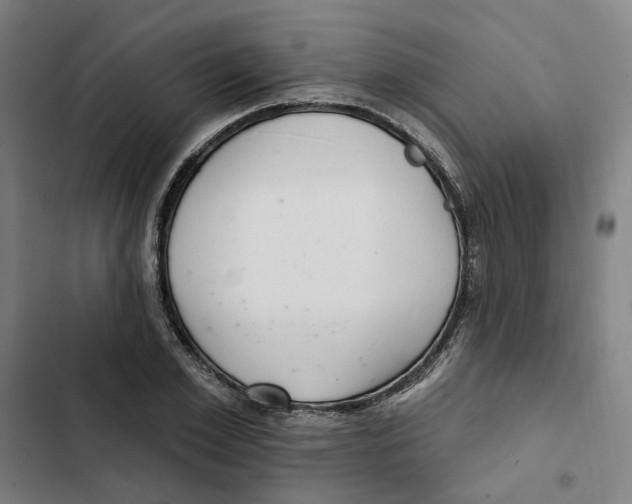 X0000102360981200808291221