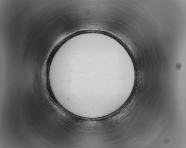 X0000102360982200808291221