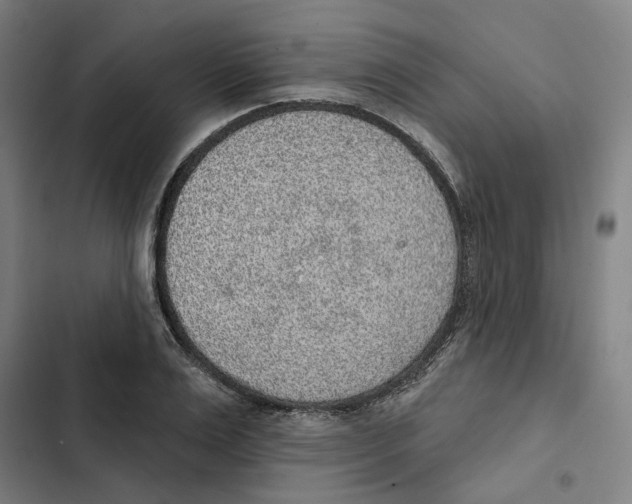X0000102360983200808291221