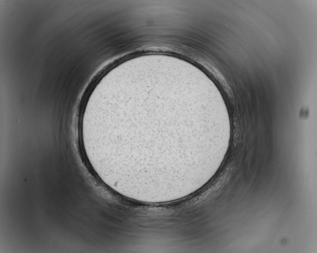 X0000102360984200808291221