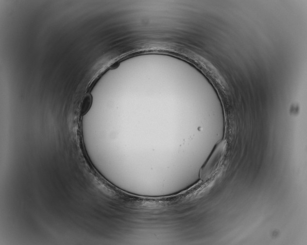 X0000102360985200808291221