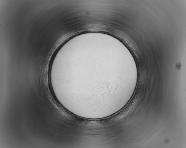 X0000102360986200808291221