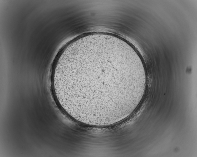 X0000102360987200808291221