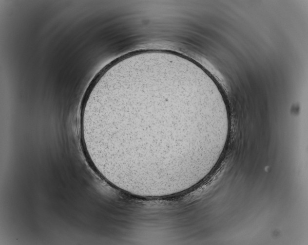 X0000102360988200808291221