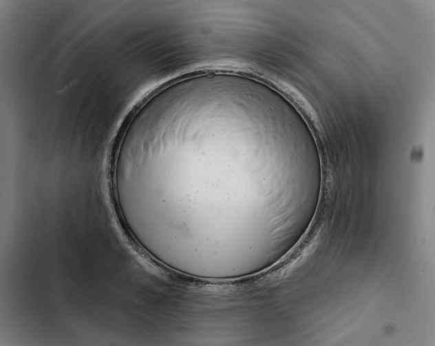 X0000102360989200808291221