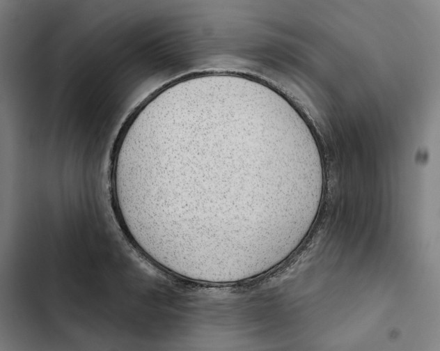 X0000102360990200808291221