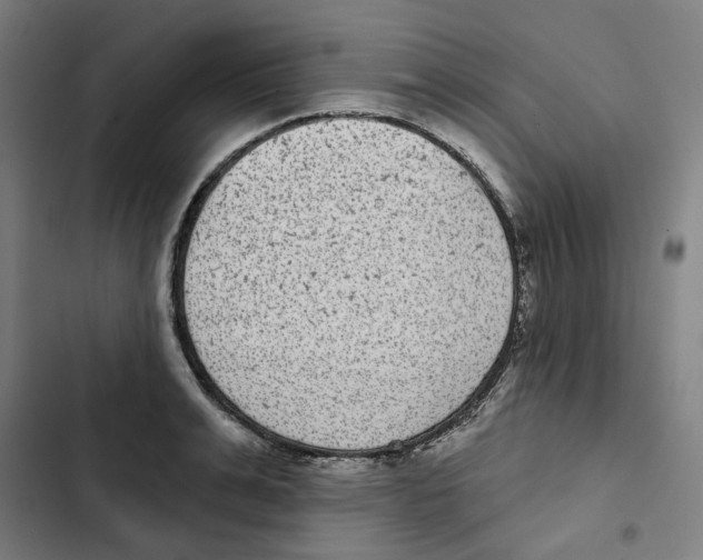 X0000102360991200808291221