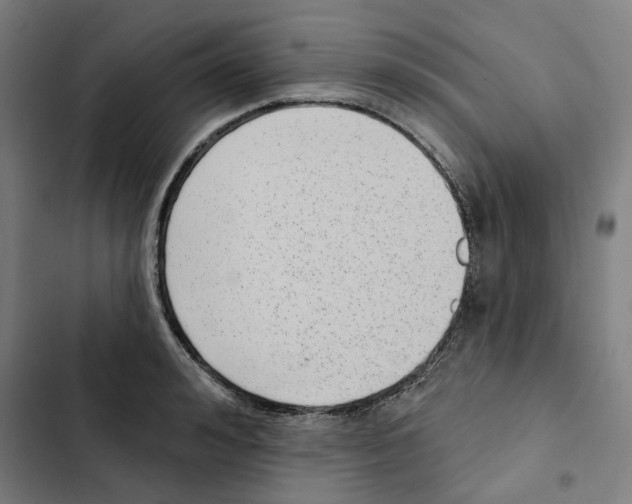 X0000102360992200808291221