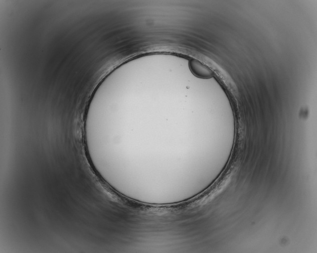 X0000102360993200808291221